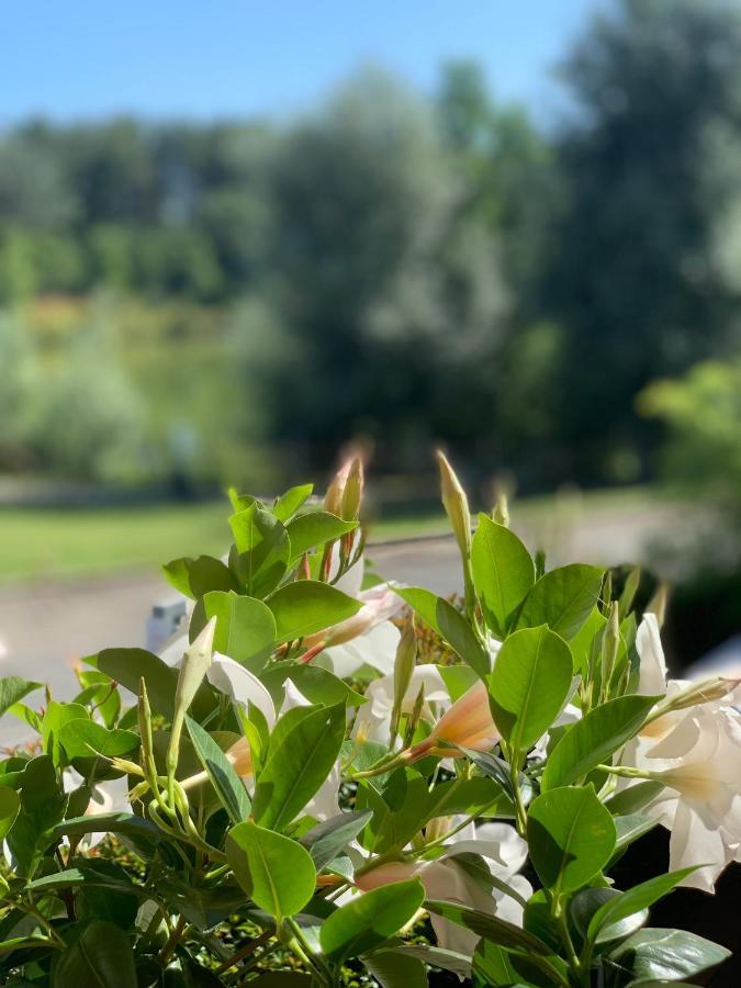 Cameracaffe Sul Lago Αρέτσο Εξωτερικό φωτογραφία